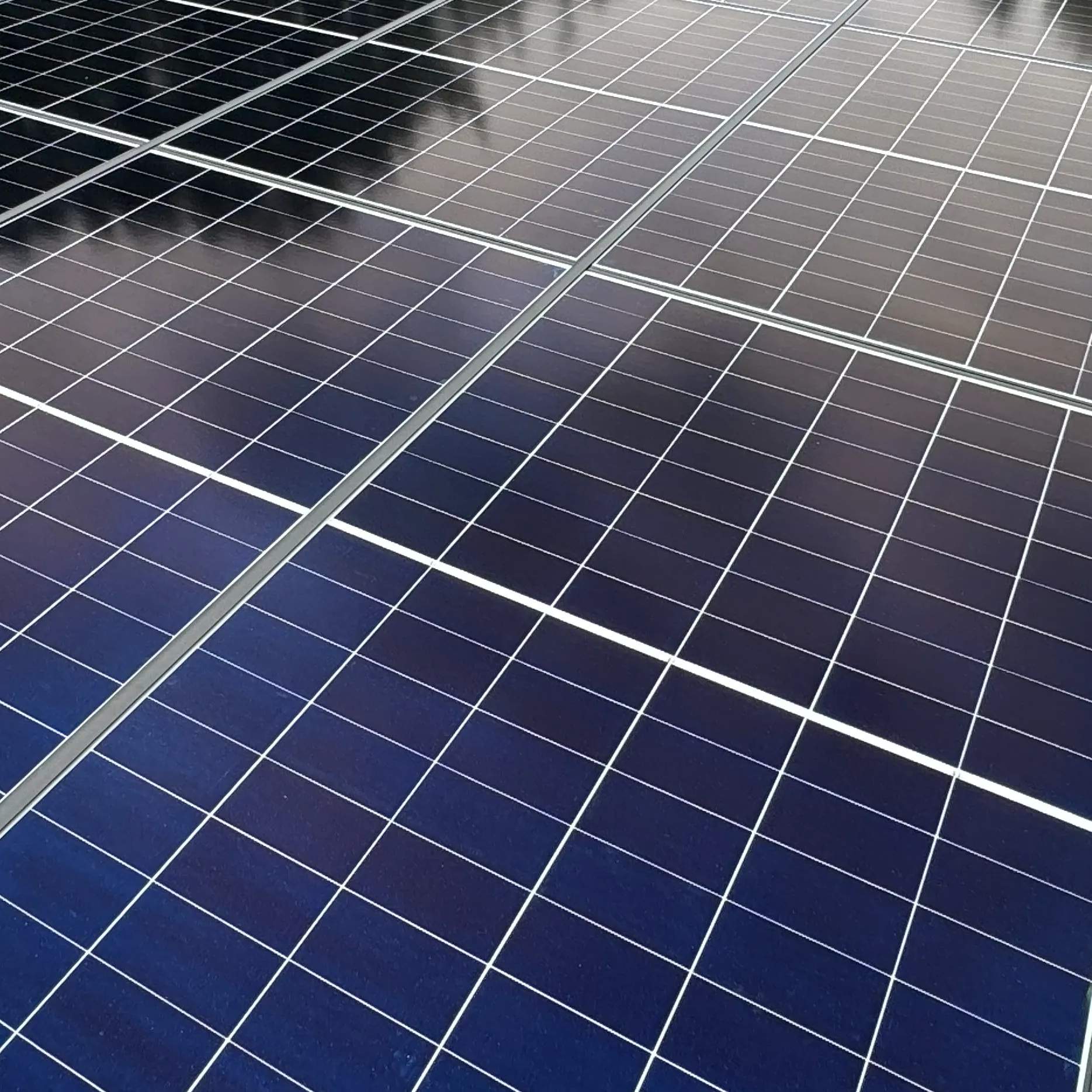 Beratung & Planung 2 IMG 4444 Kopie